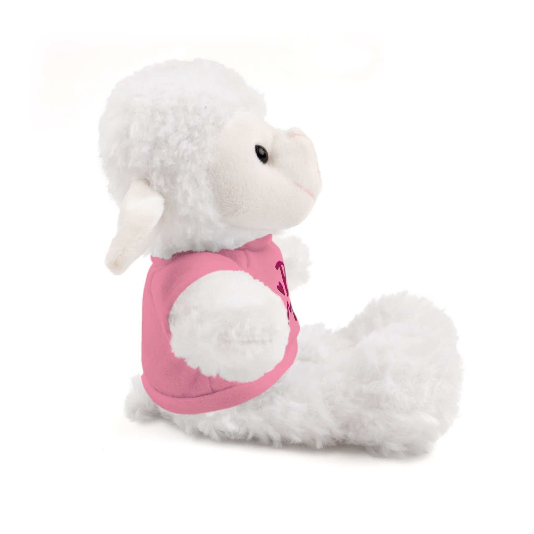 BE MINE Stuffed Animals with Tee