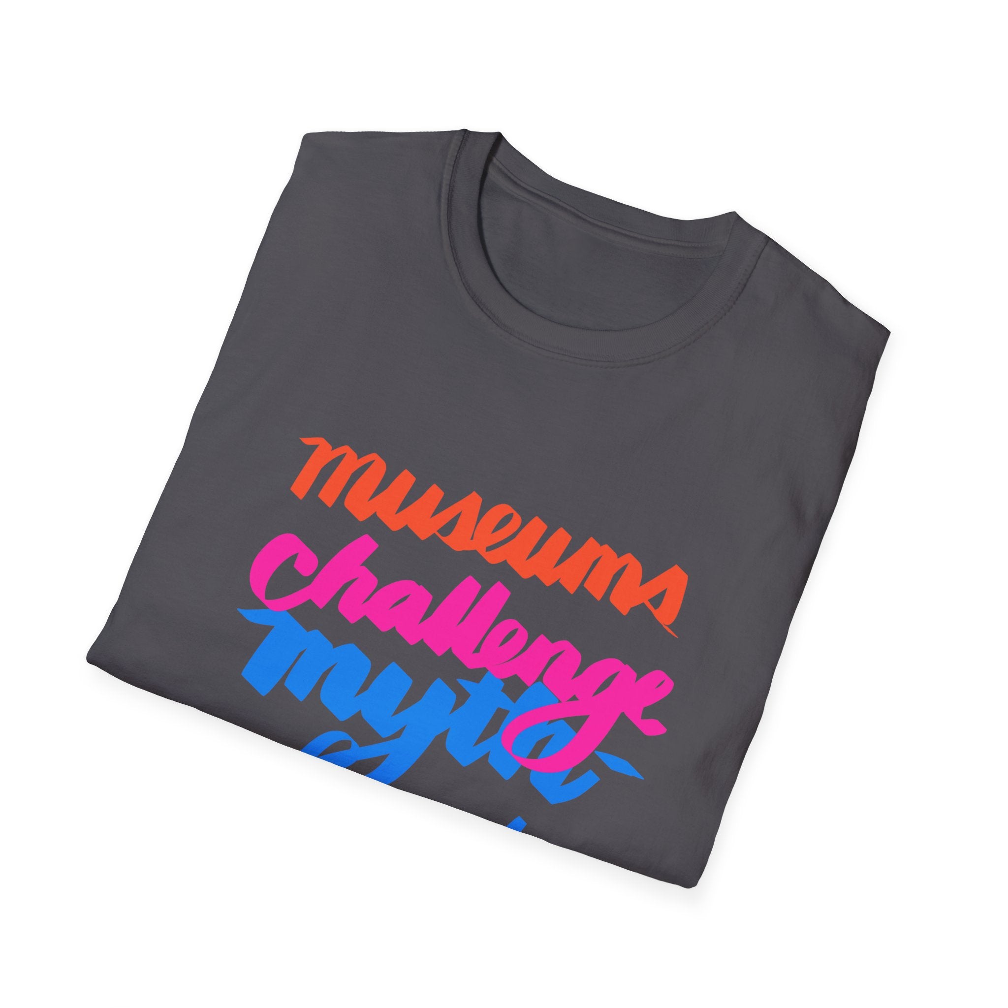 MUSEUMS CHALLENGE MYTH-INFORMATION T-Shirt