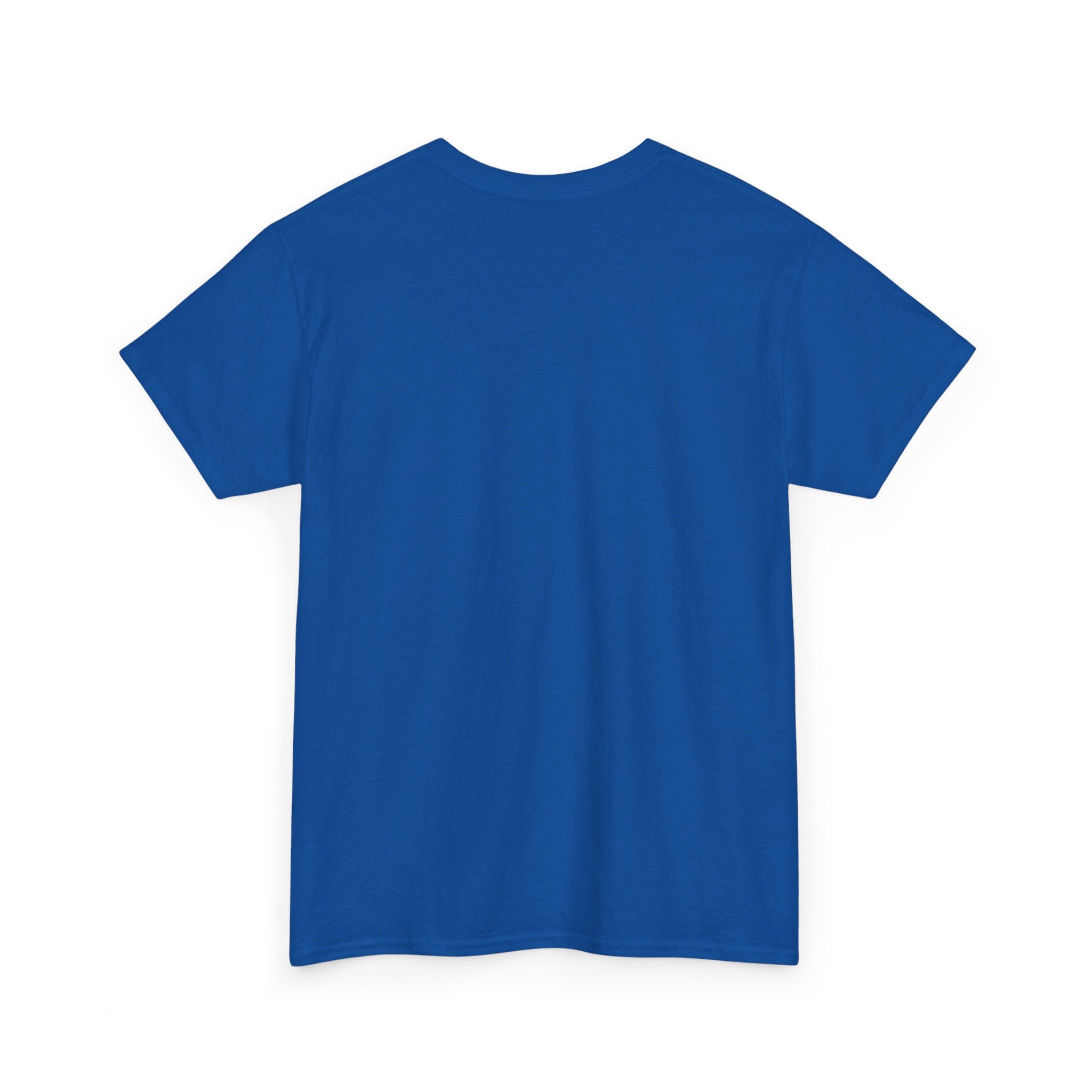 CONSPIRACIES Unisex Heavy Cotton Tee