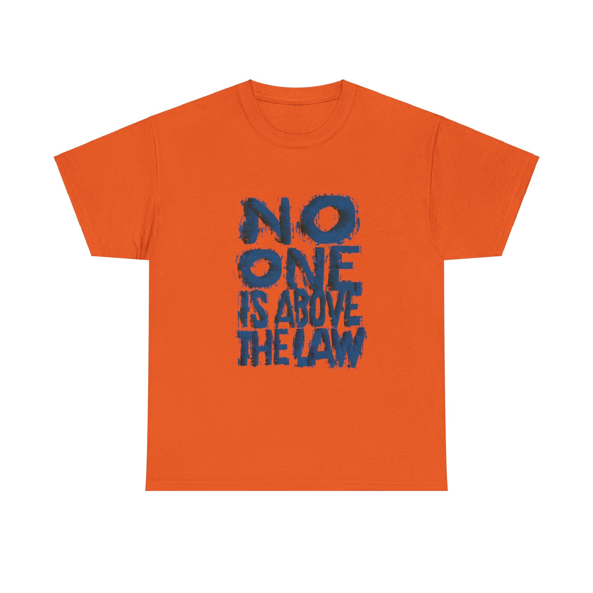 NO ONE IS ABOVE THE LAW Unisex Heavy Cotton Tee