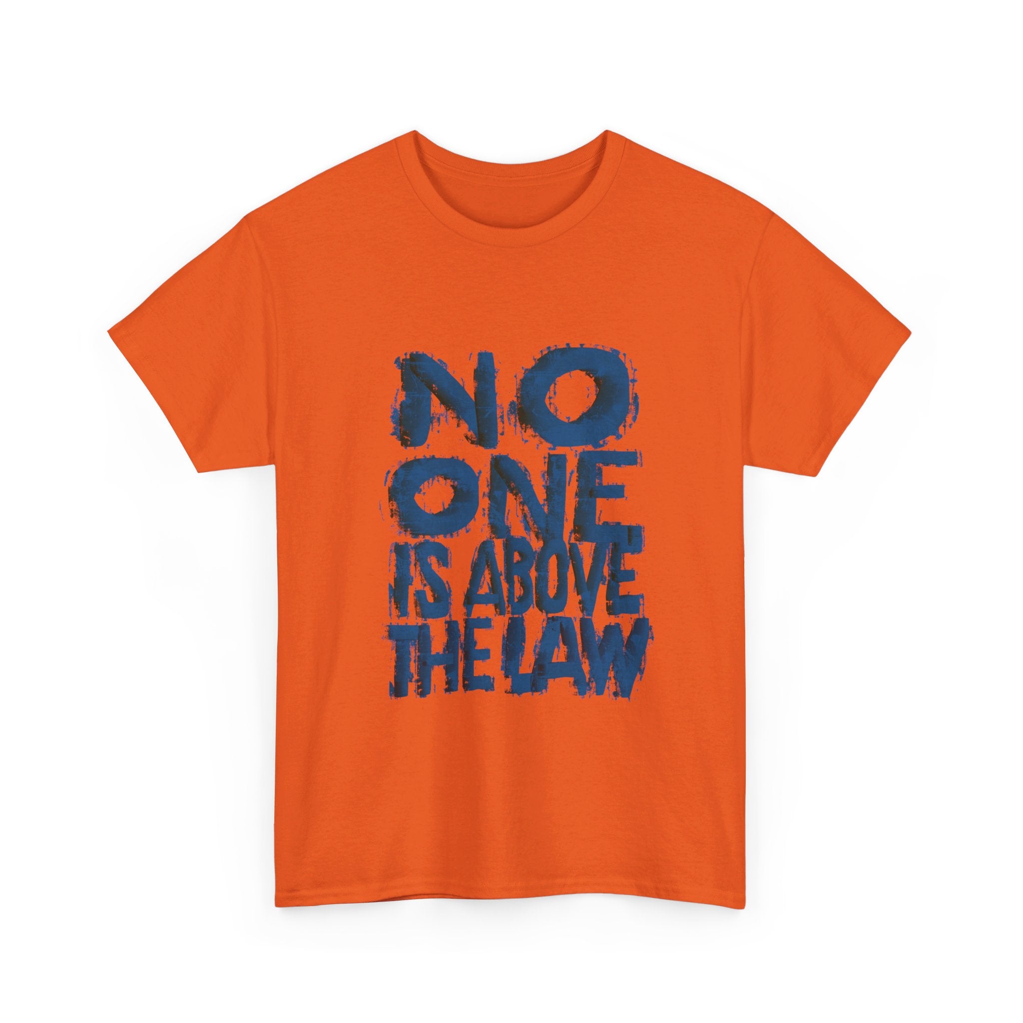 NO ONE IS ABOVE THE LAW Unisex Heavy Cotton Tee