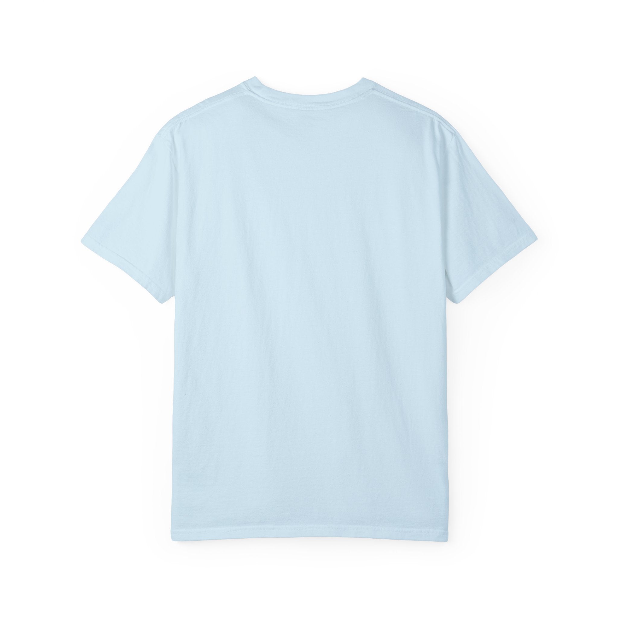 ACCEPT EXISTENCE Unisex Garment-Dyed T-shirt