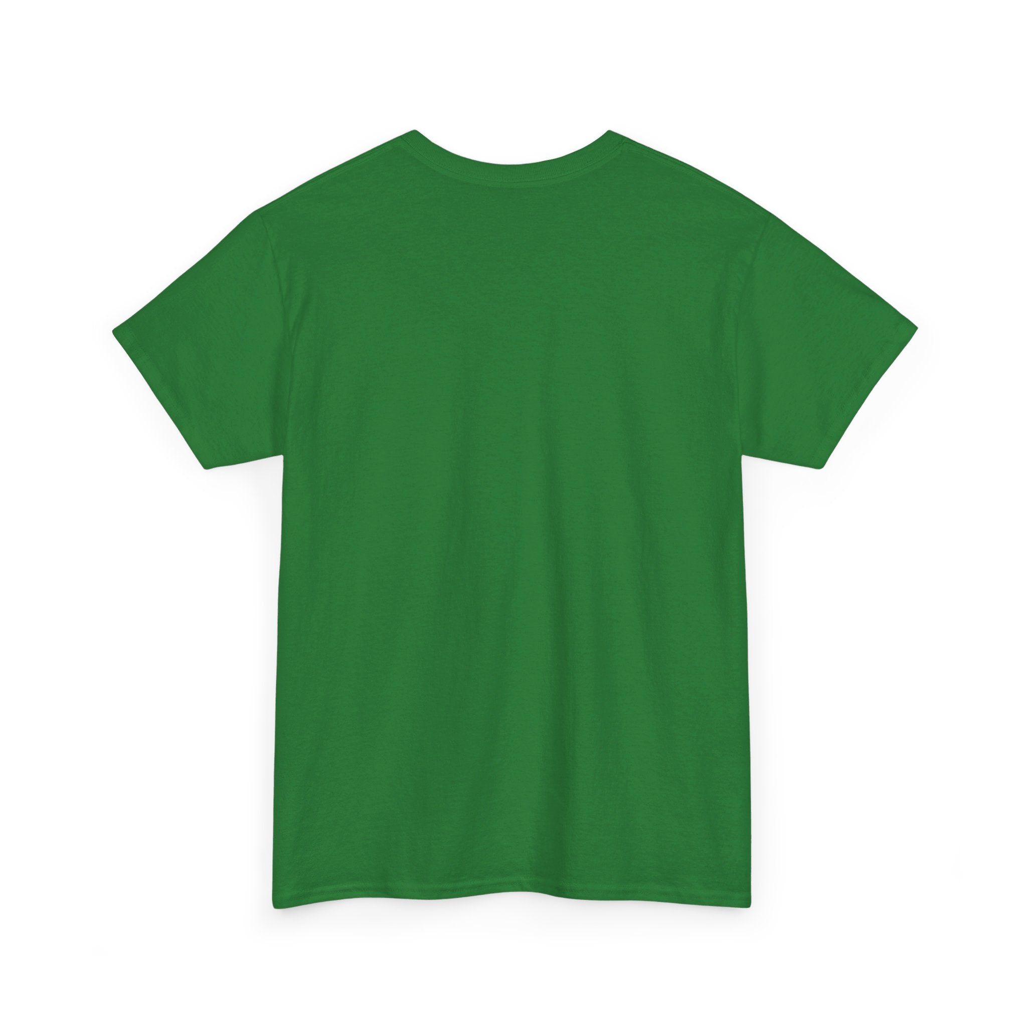 CONSPIRACIES Unisex Heavy Cotton Tee
