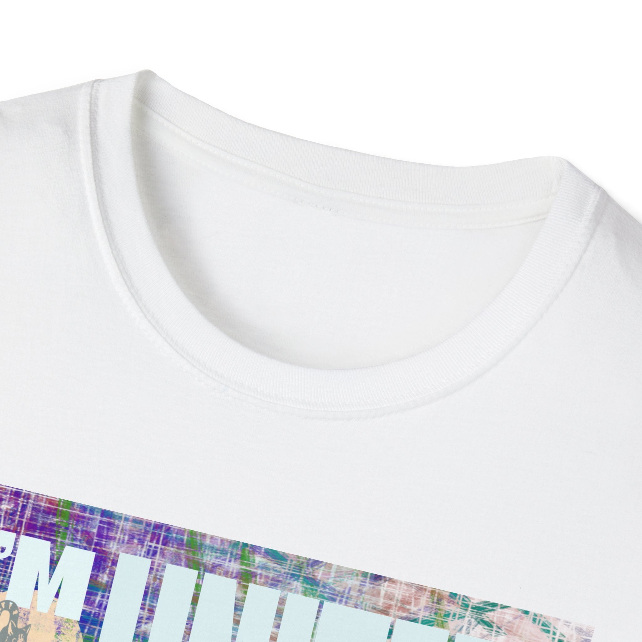 UNITED WITH CHILDLESS CAT LADIES Softstyle T-Shirt