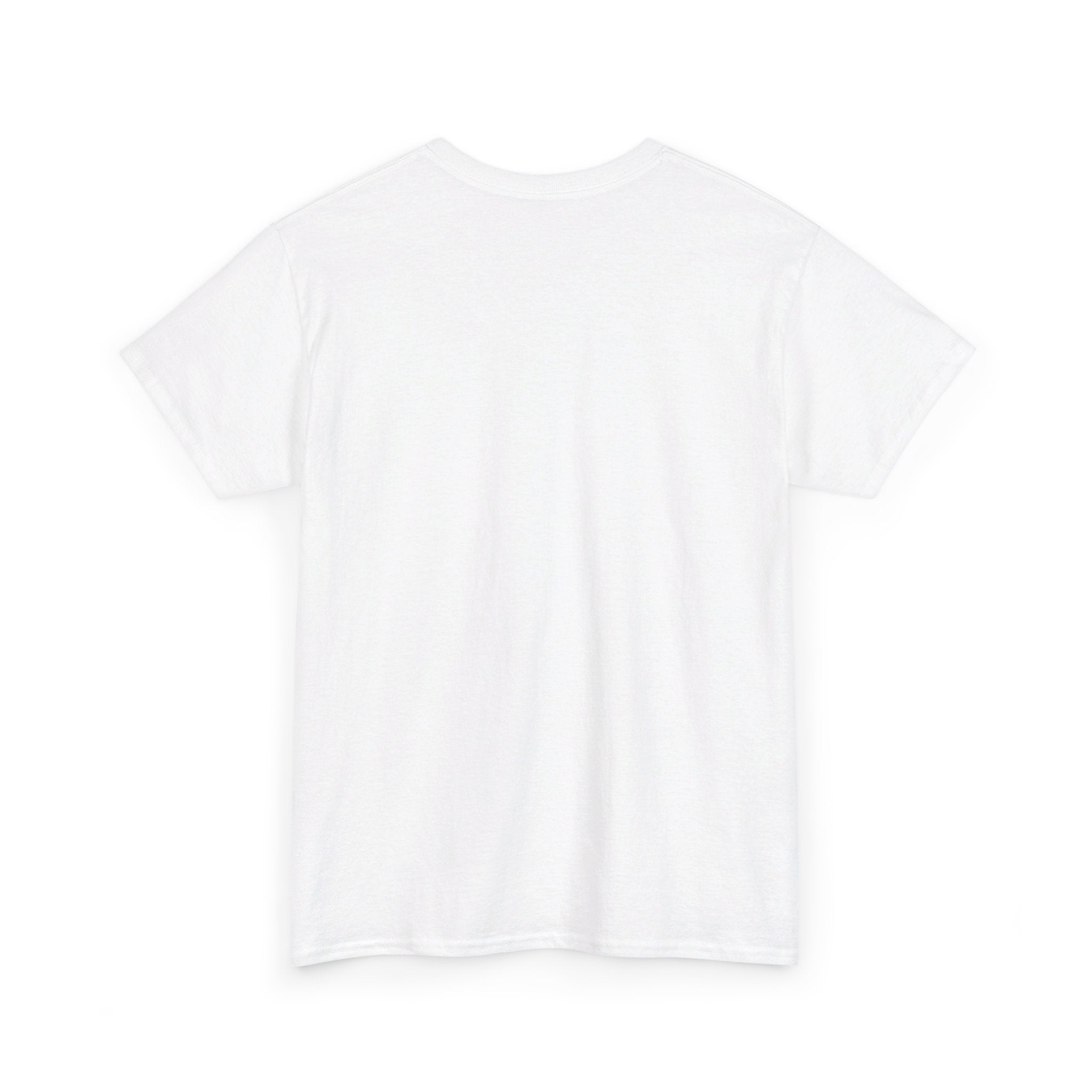 CONSPIRACIES Unisex Heavy Cotton Tee