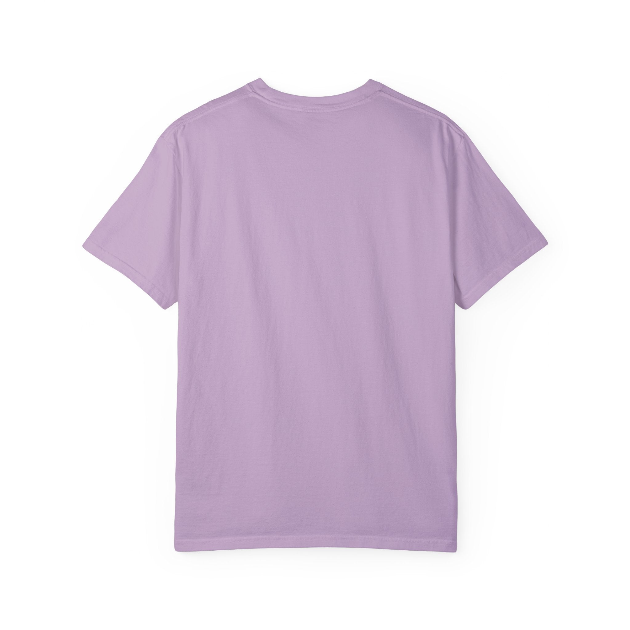 ACCEPT EXISTENCE Unisex Garment-Dyed T-shirt