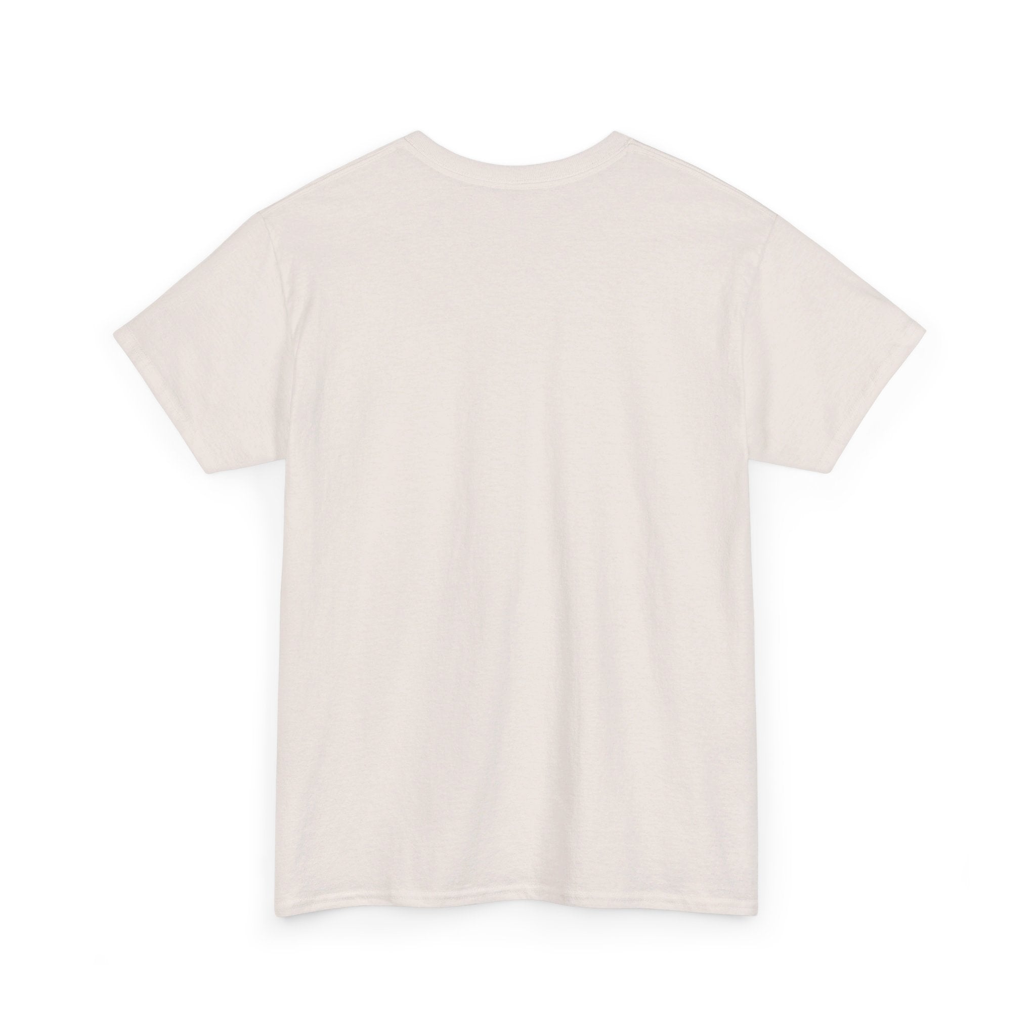 NO ONE IS ABOVE THE LAW Unisex Heavy Cotton Tee