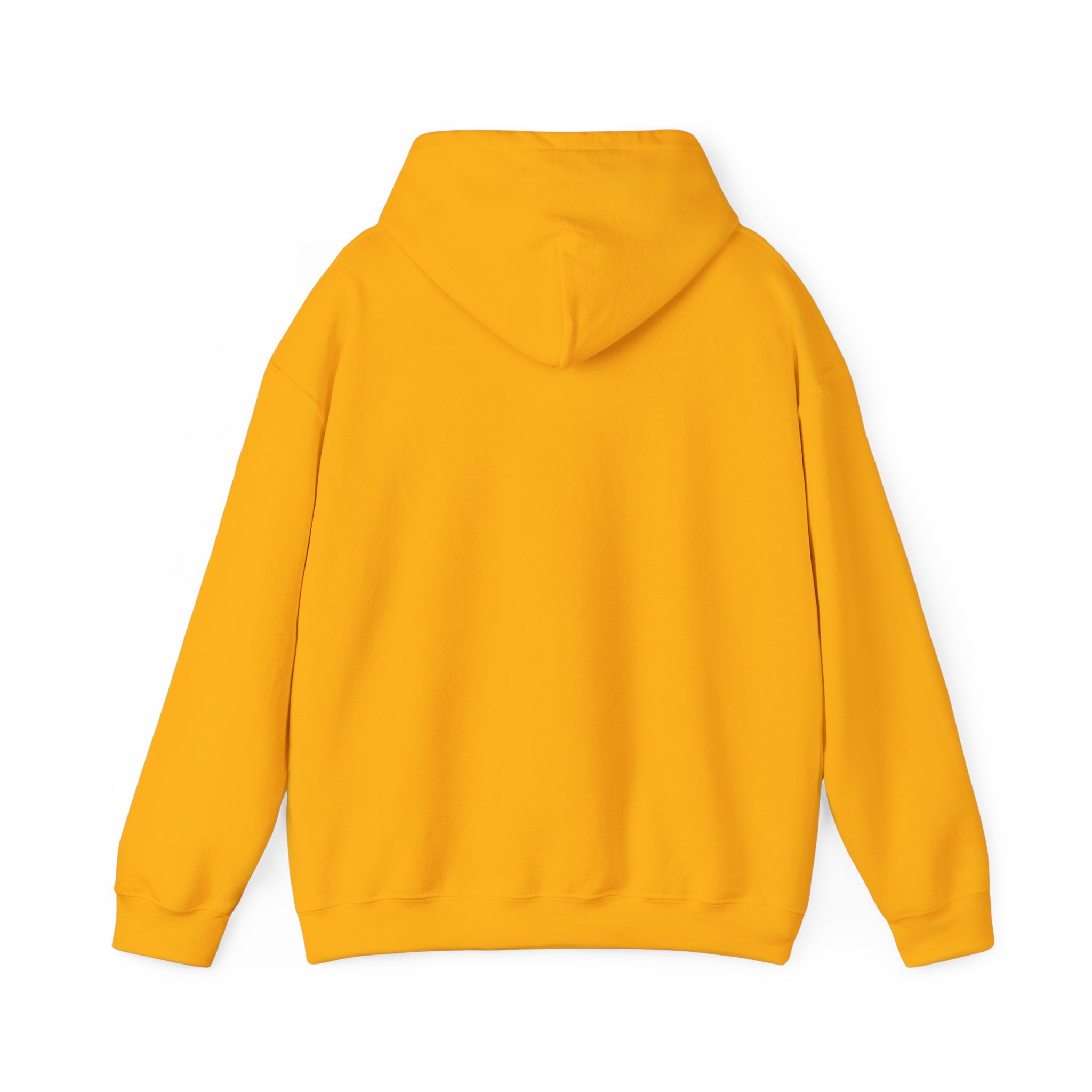 DREAM BIG Hooded Sweatshirt