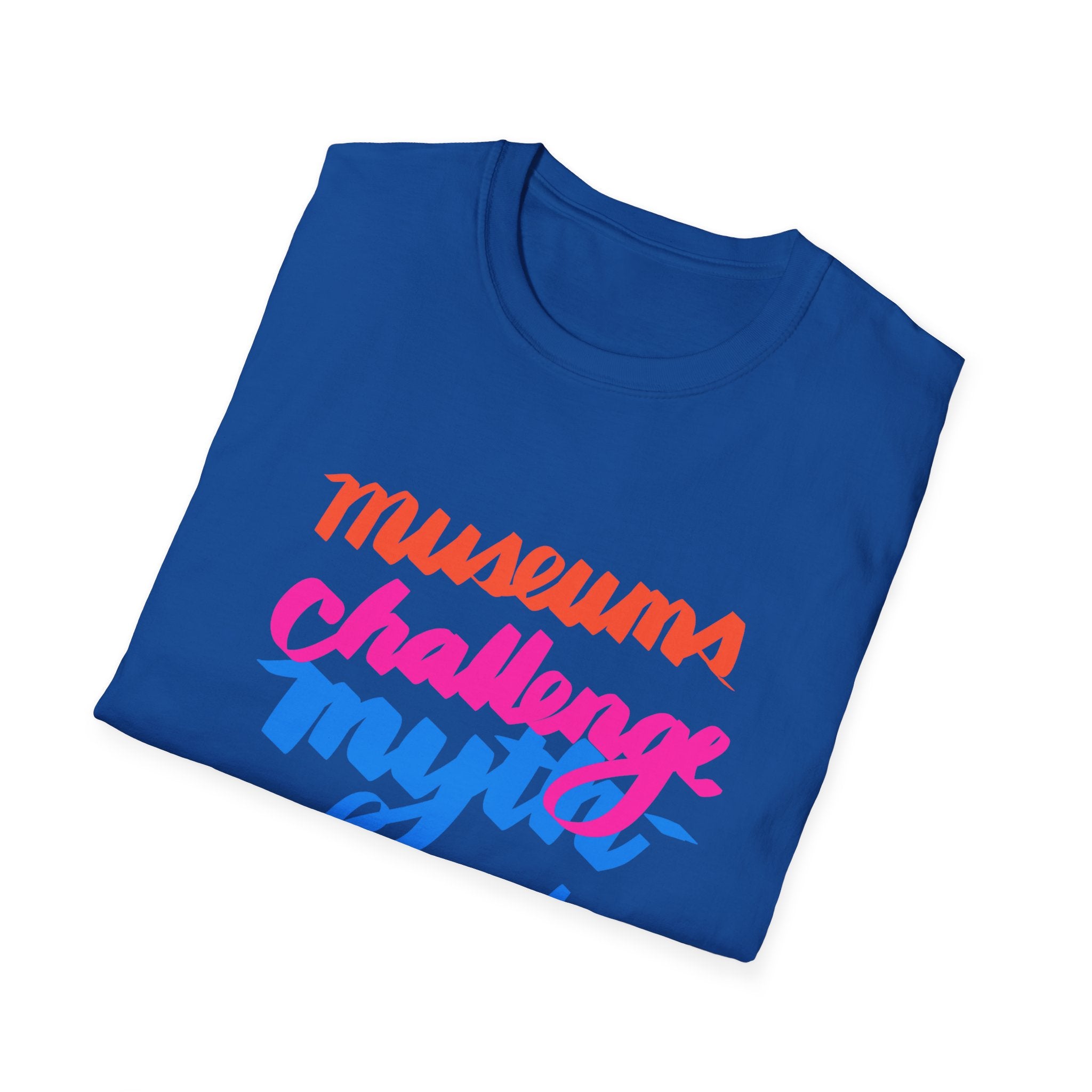 MUSEUMS CHALLENGE MYTH-INFORMATION T-Shirt