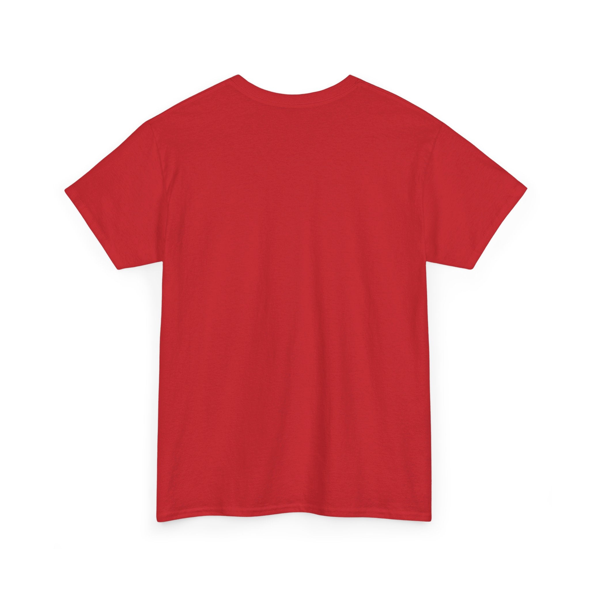 CONSPIRACIES Unisex Heavy Cotton Tee