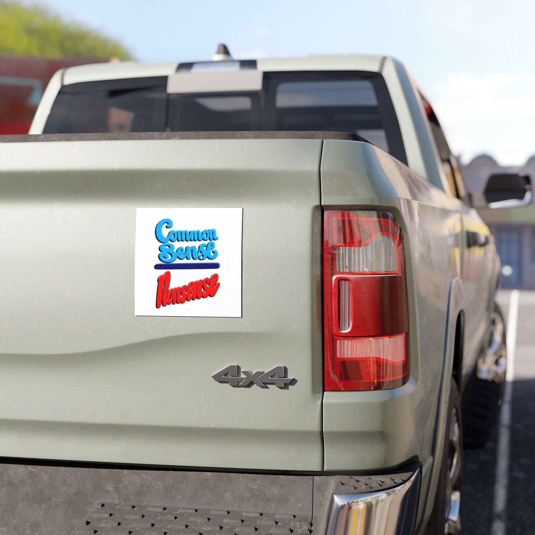 COMMON SENSE OVER NONSENSE Car Magnet