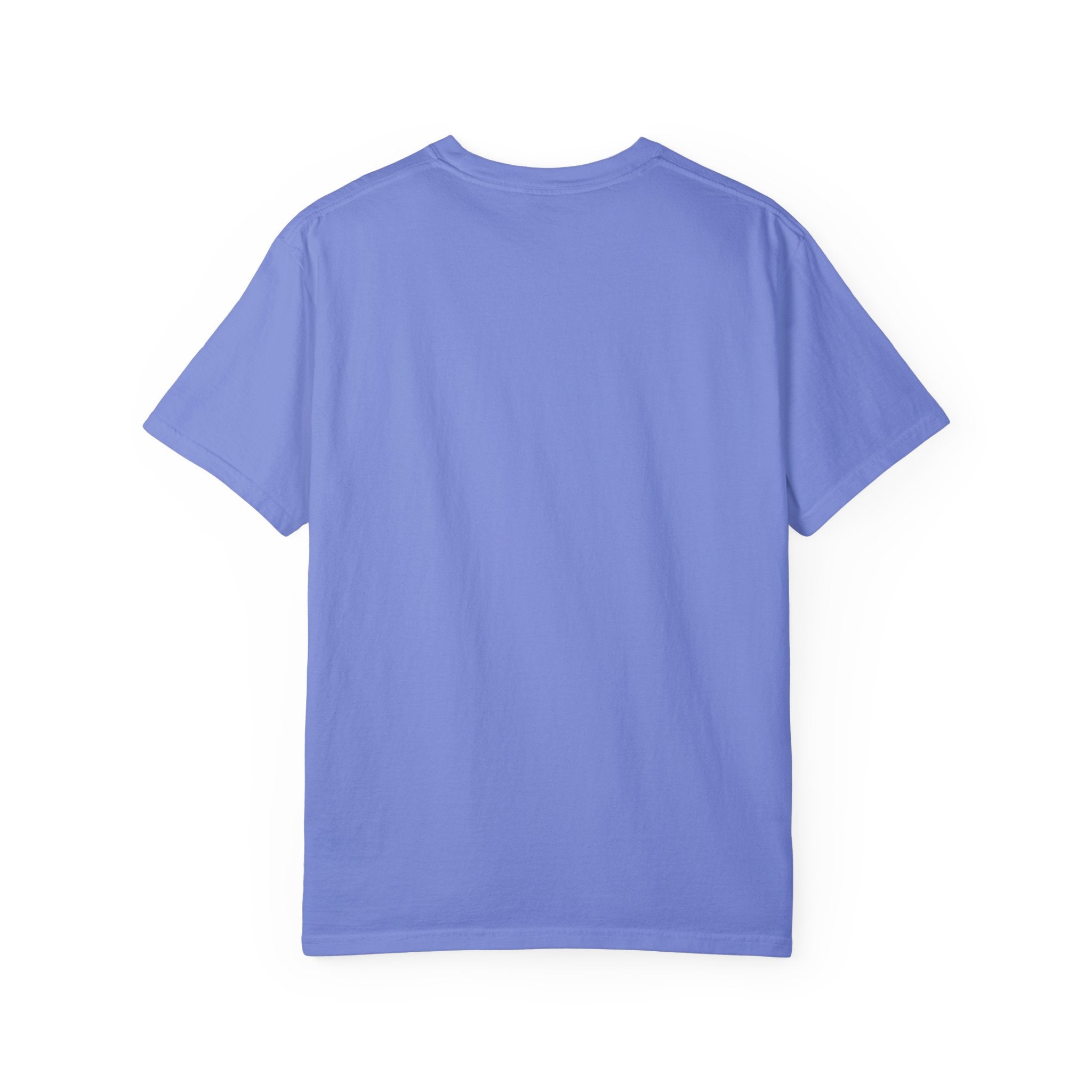 ACCEPT EXISTENCE Unisex Garment-Dyed T-shirt
