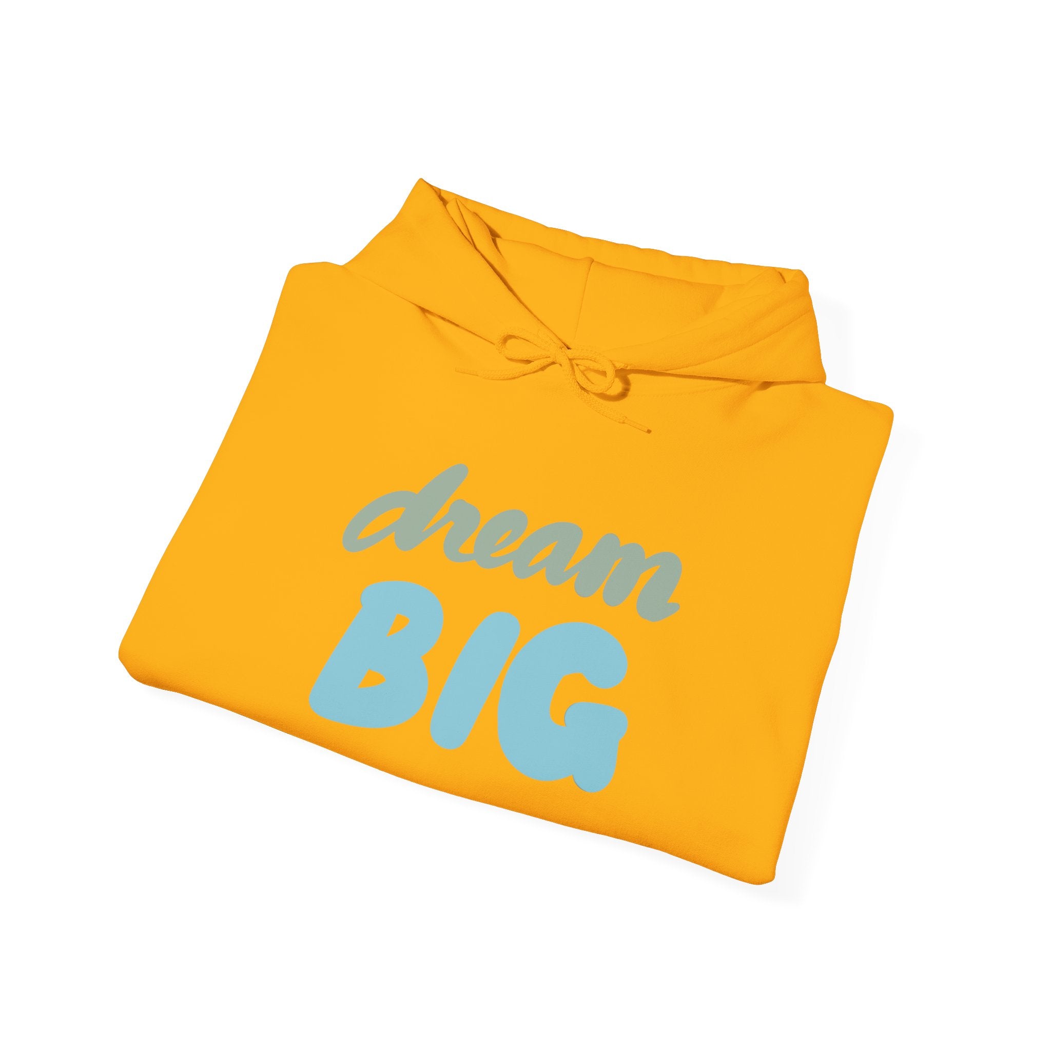 DREAM BIG Hooded Sweatshirt