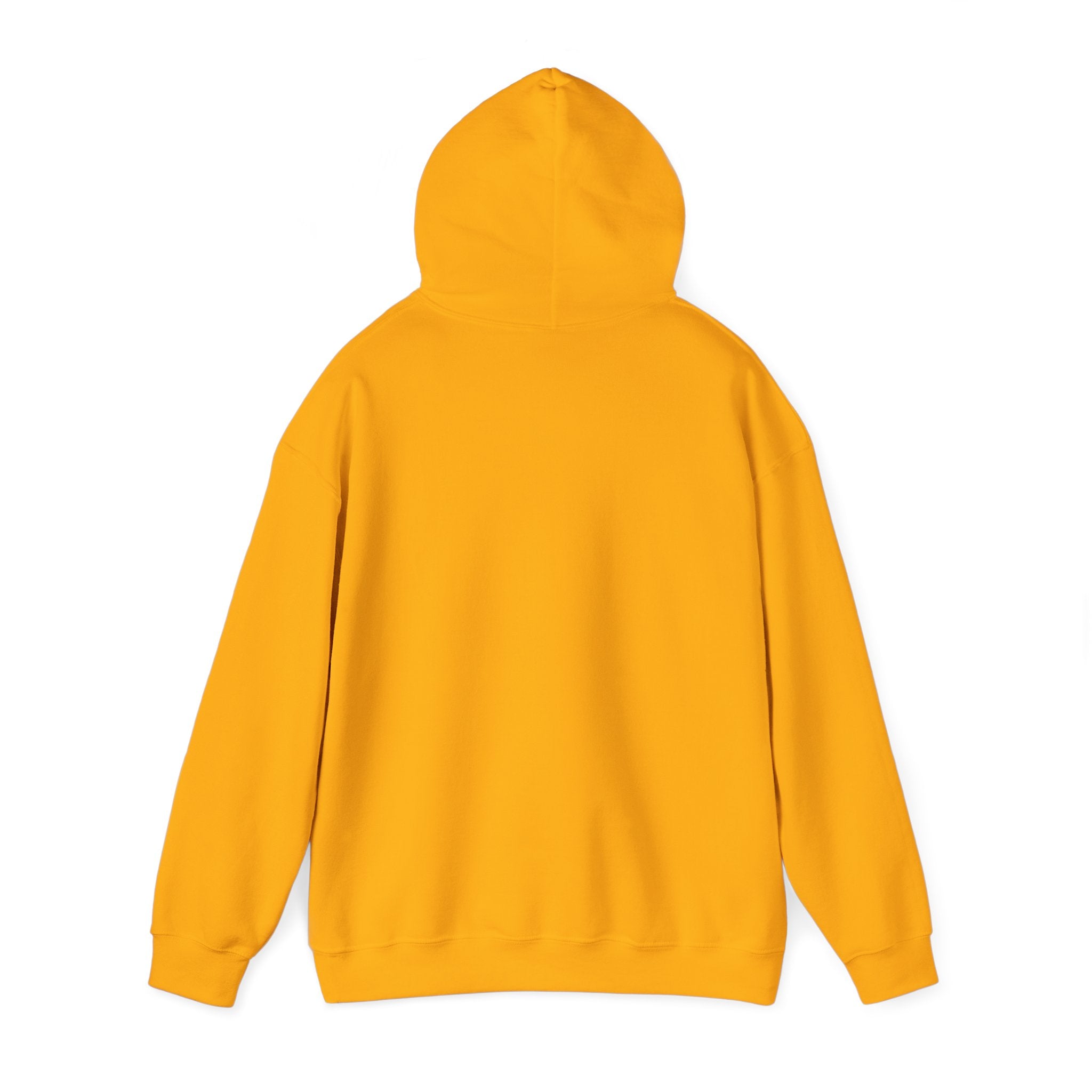 RIO DE JANEIRO Hooded Sweatshirt