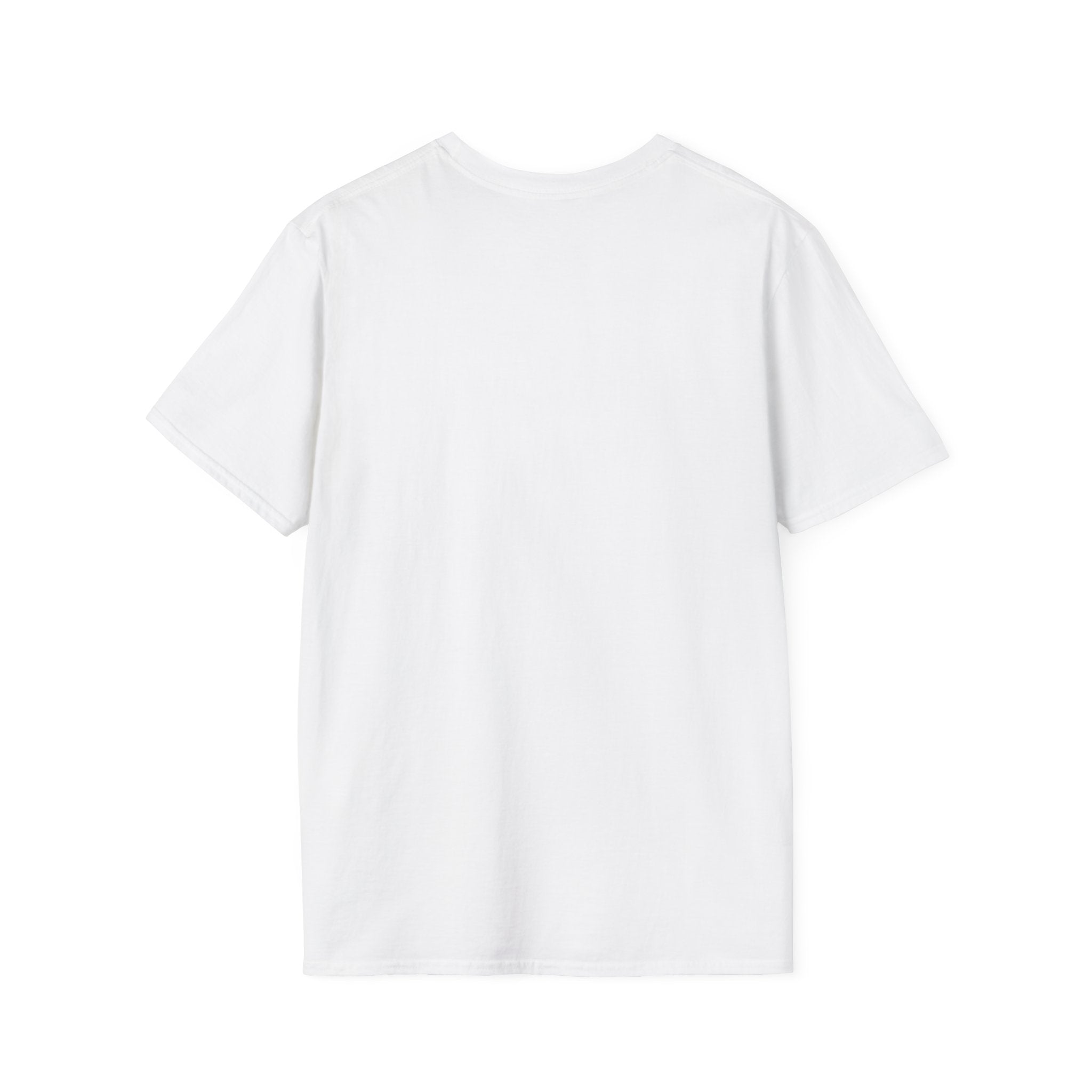 DEAR SANTA I REALLY TRIED Softstyle T-Shirt