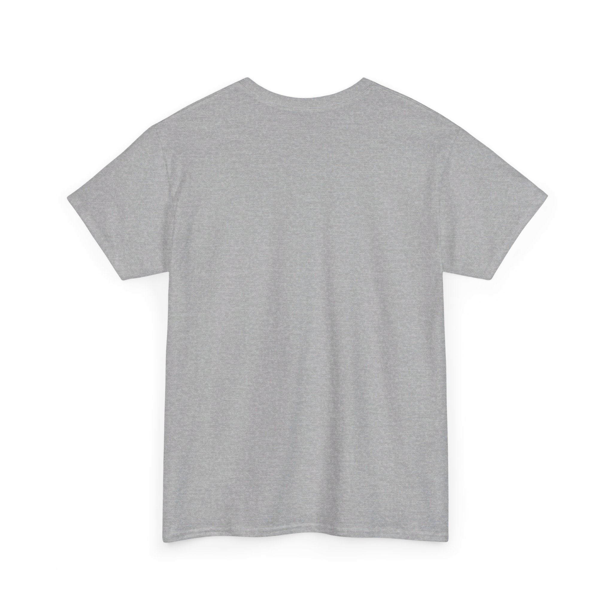 LOOKING SHARP Heavy Cotton Tee