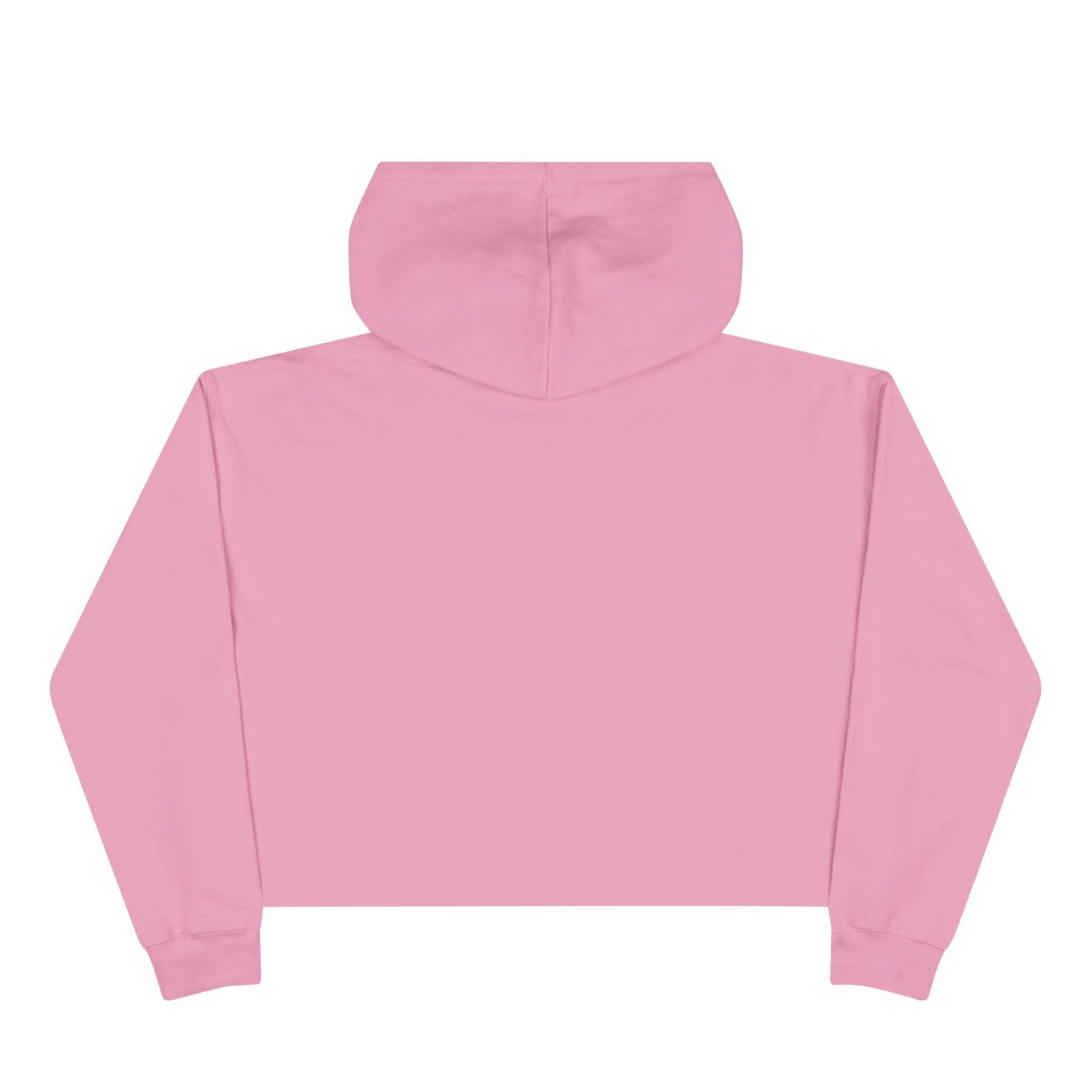 Inspirational Crop Hoodie -Try a Little Tenderness